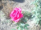 DSCN0996