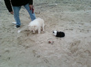 Copy (2) of 23-28 dec 2011 CRACIUN IN BALCIK,BULGARIA 111