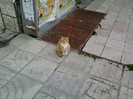 Copy (2) of 23-28 dec 2011 CRACIUN IN BALCIK,BULGARIA 117