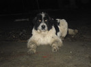 TASHA 8luni