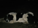 TASHA 8luni