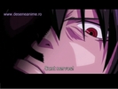 Zeref 40