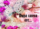 Dupa cateva ore...Telefonul lui Demi suna! Il puse pe speaker! Si el la fel!