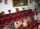 Photo 006