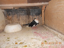 DSCN0203