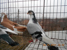 DSCN0208