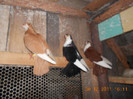 DSCN0211