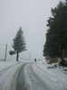 poze 678