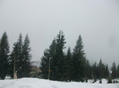 poze 679