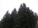 poze 680