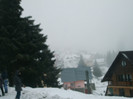 poze 702