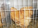 SDC12695
