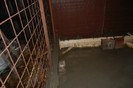 dec.2011