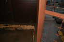 dec.2011