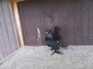 bilder 063