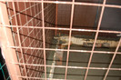 dec.2011