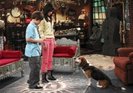 Wizards of Waverly Place (18)