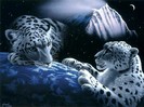 poze_animale_salbatice-leopard-8