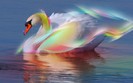 Windows_7_-_Swan[1]