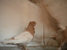 ian 2012 068