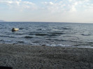 la mare