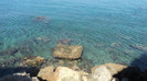 la mare