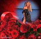 trandafiri-rosii_27e13b57bb8e21
