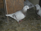 DSCN1476