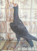 DSCN5039