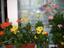 Photo 002