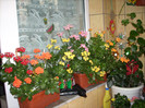 Photo 011