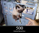 pisici-server-errors-12