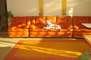 DSC01717