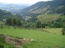 DSC03528