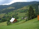 DSC03535