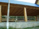 DSC03542