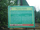 DSC03543