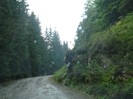 DSC03551