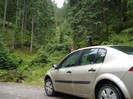 DSC03556