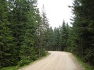 DSC03563