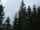 DSC03565