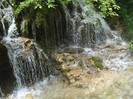 DSC03573