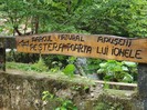DSC03574