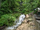 DSC03596