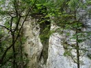 DSC03598