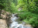 DSC03615