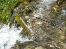 DSC03616