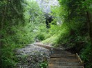 DSC03618