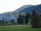 DSC03663
