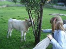 DSC03670